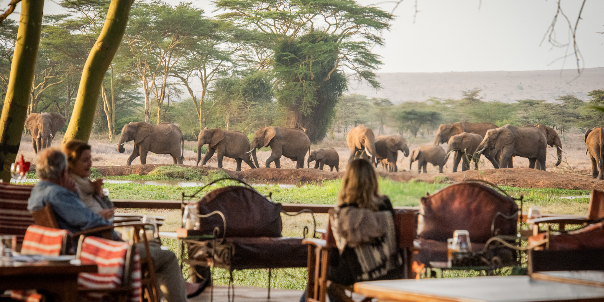 Sirikoi — Lewa Wildlife Conservancy