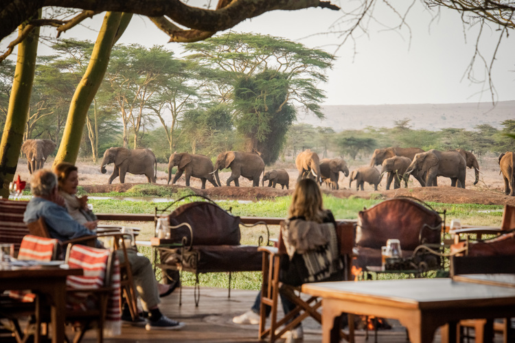 Deck Into Waterhole 2, Sirikoi, Lewa Wildlife Conservancy, Kenya