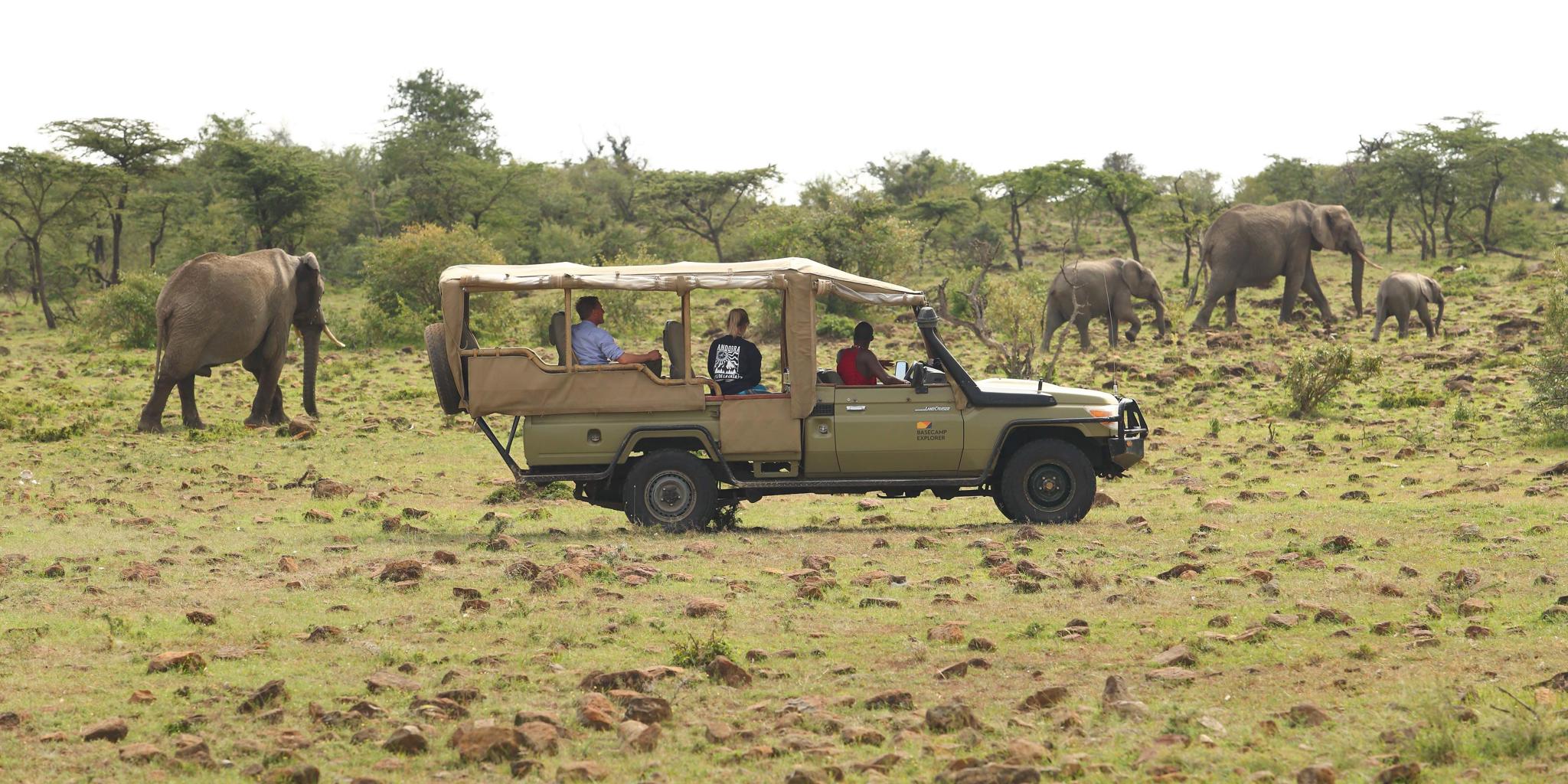 Game Drive, Basecamp Wilderness, Mara Conservancy, Kenya
