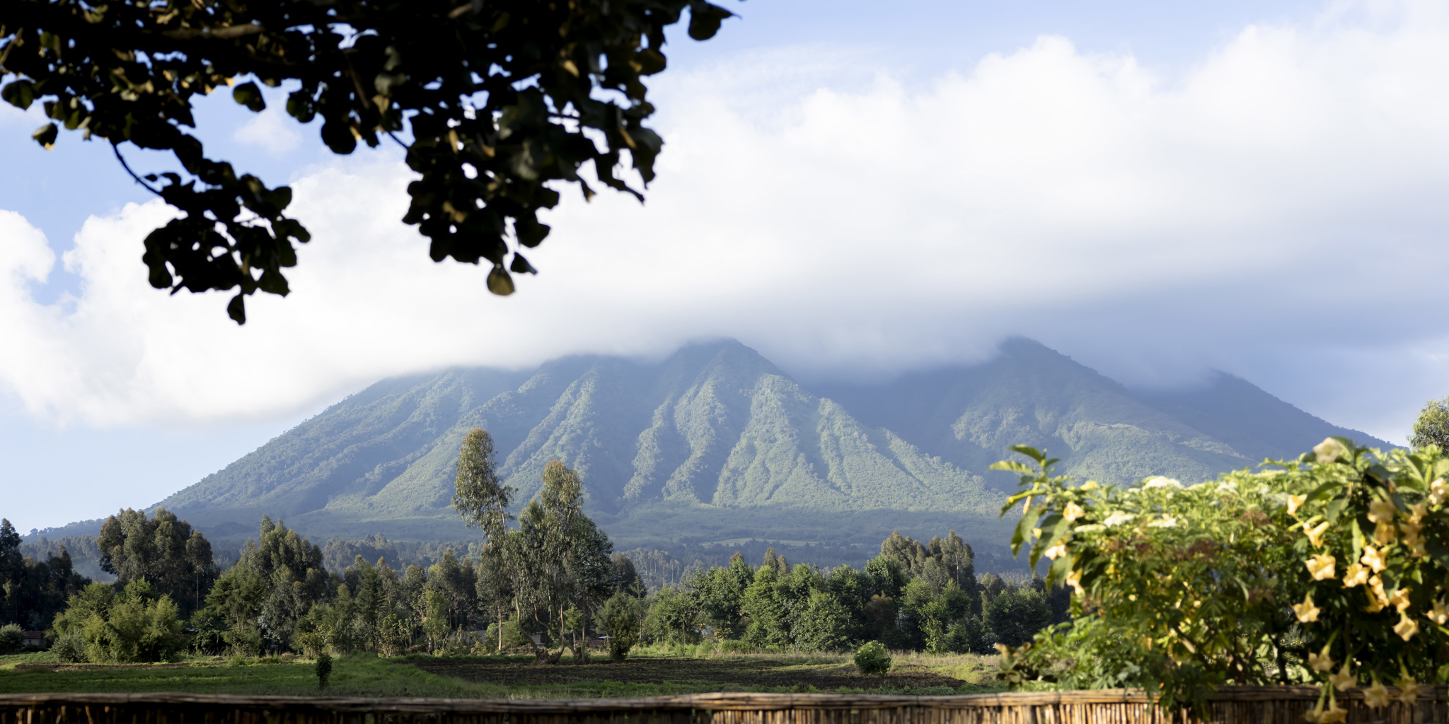 Volcano, Sambora Kinigi, Volcanoes National Park, Rwanda
