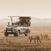 Gaem Drive, Wilderness Busanga Bush Camp
