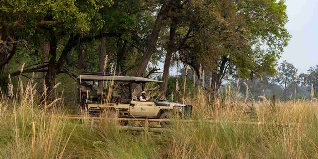 Game Drive, North Island Okavango, Botswana