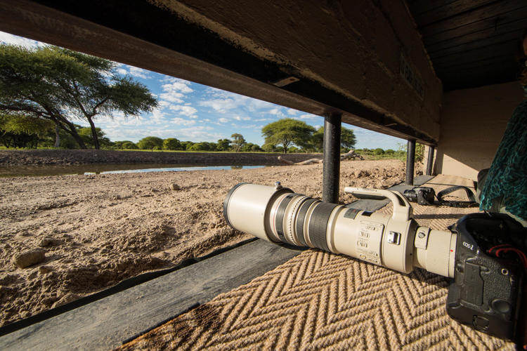 Hide, Dinaka, Central Kalahari, Botswana