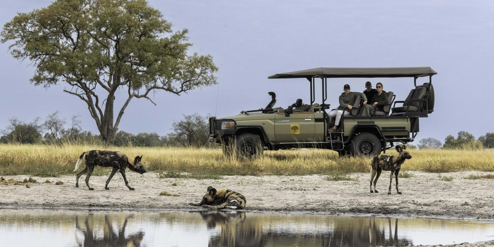 Game Drive, Kiri Camp, Okavango Delta, Botswana