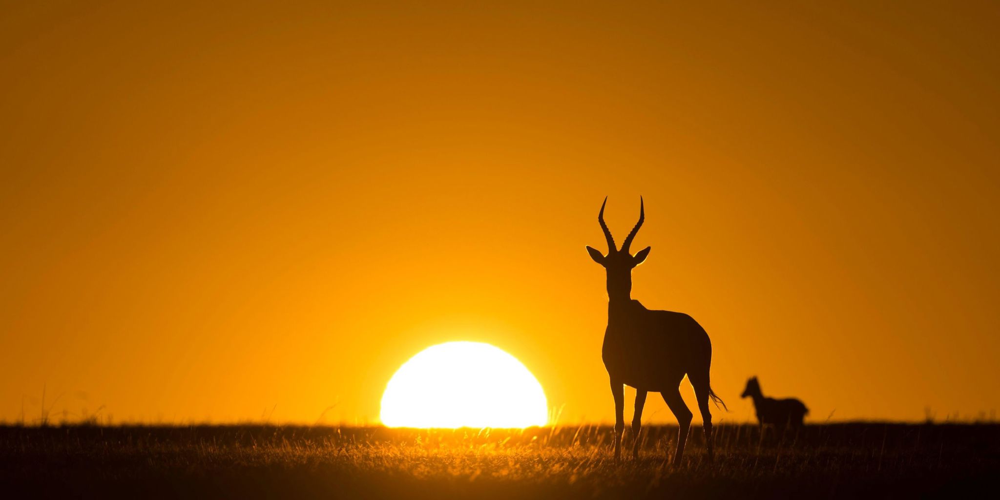 Sunset, Shamwari Eagles Crag, Shamwari, South Africa