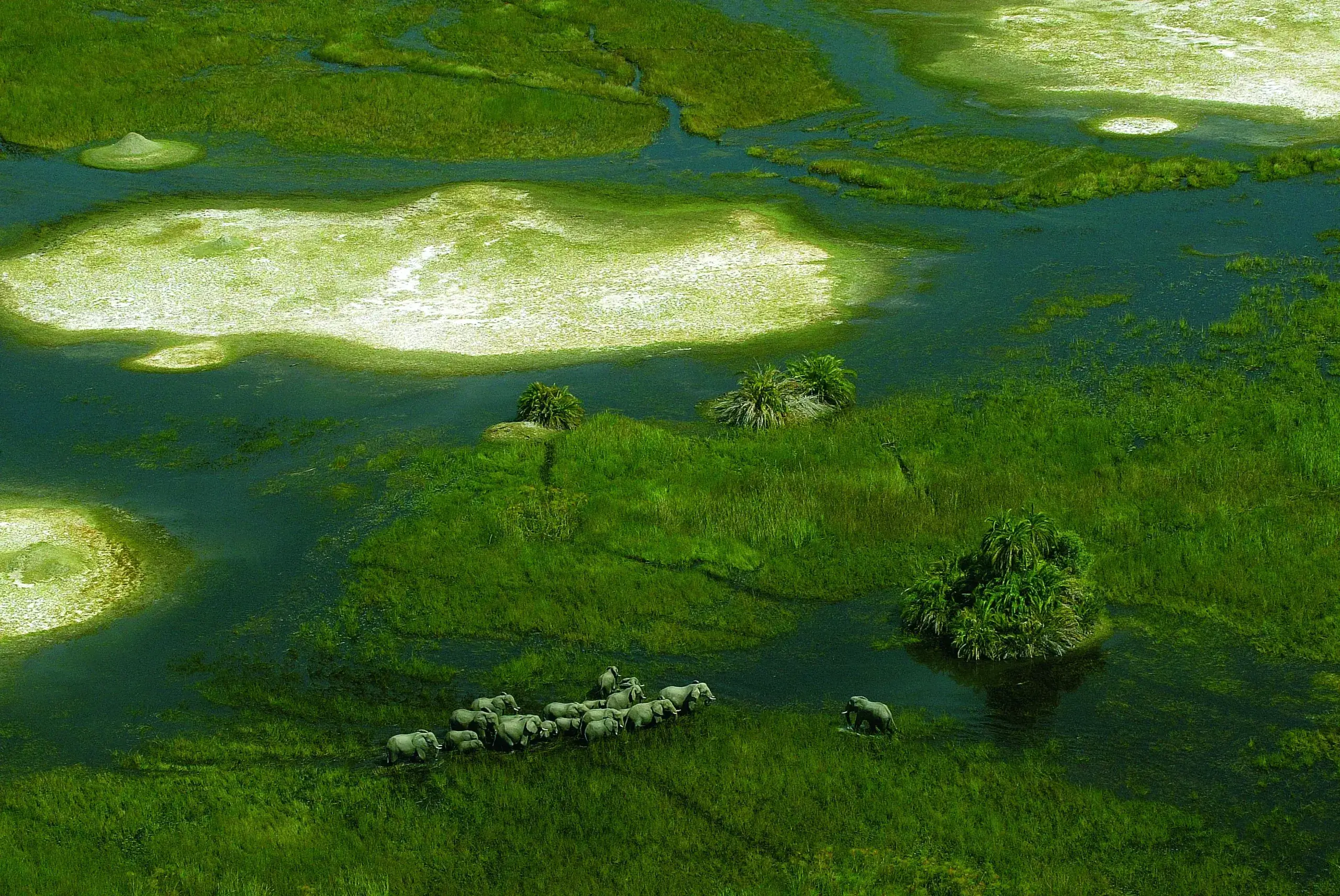 Okavango Delta