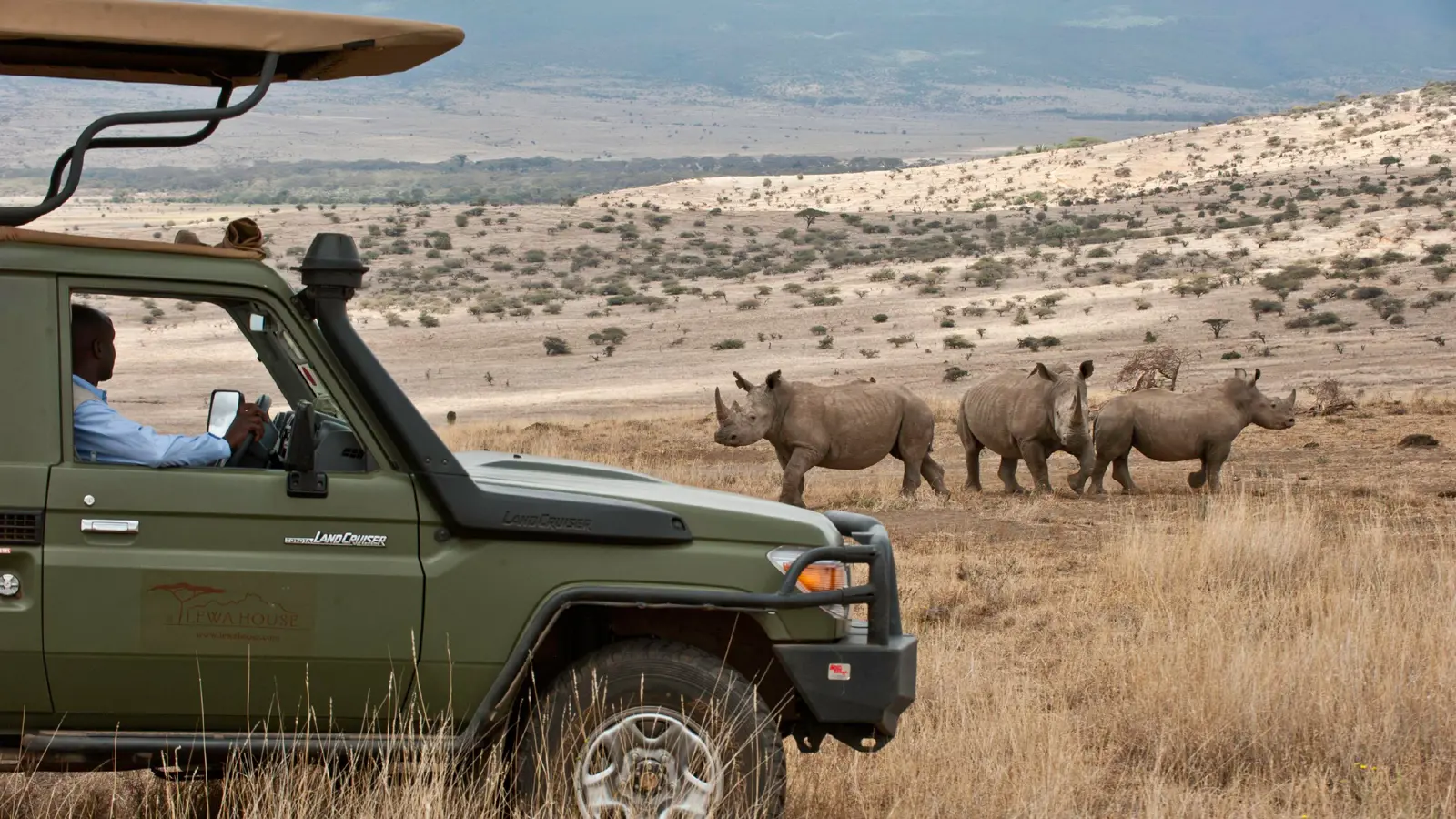 Lewa-Borana Landscape