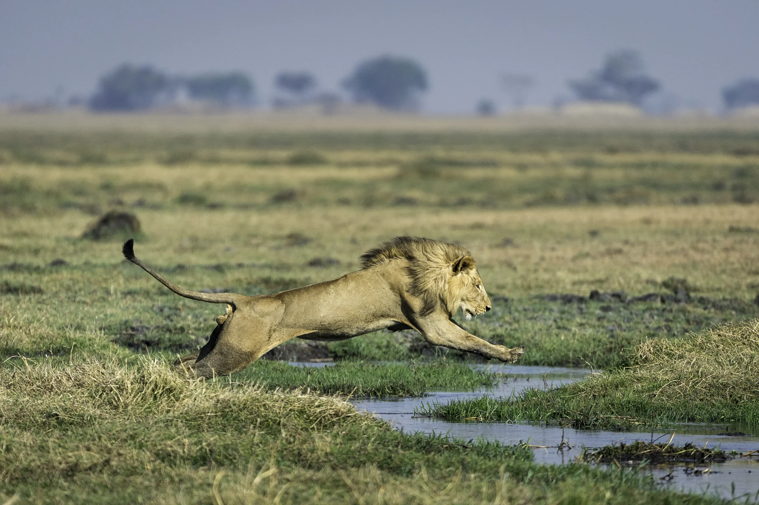 Kafue National Park