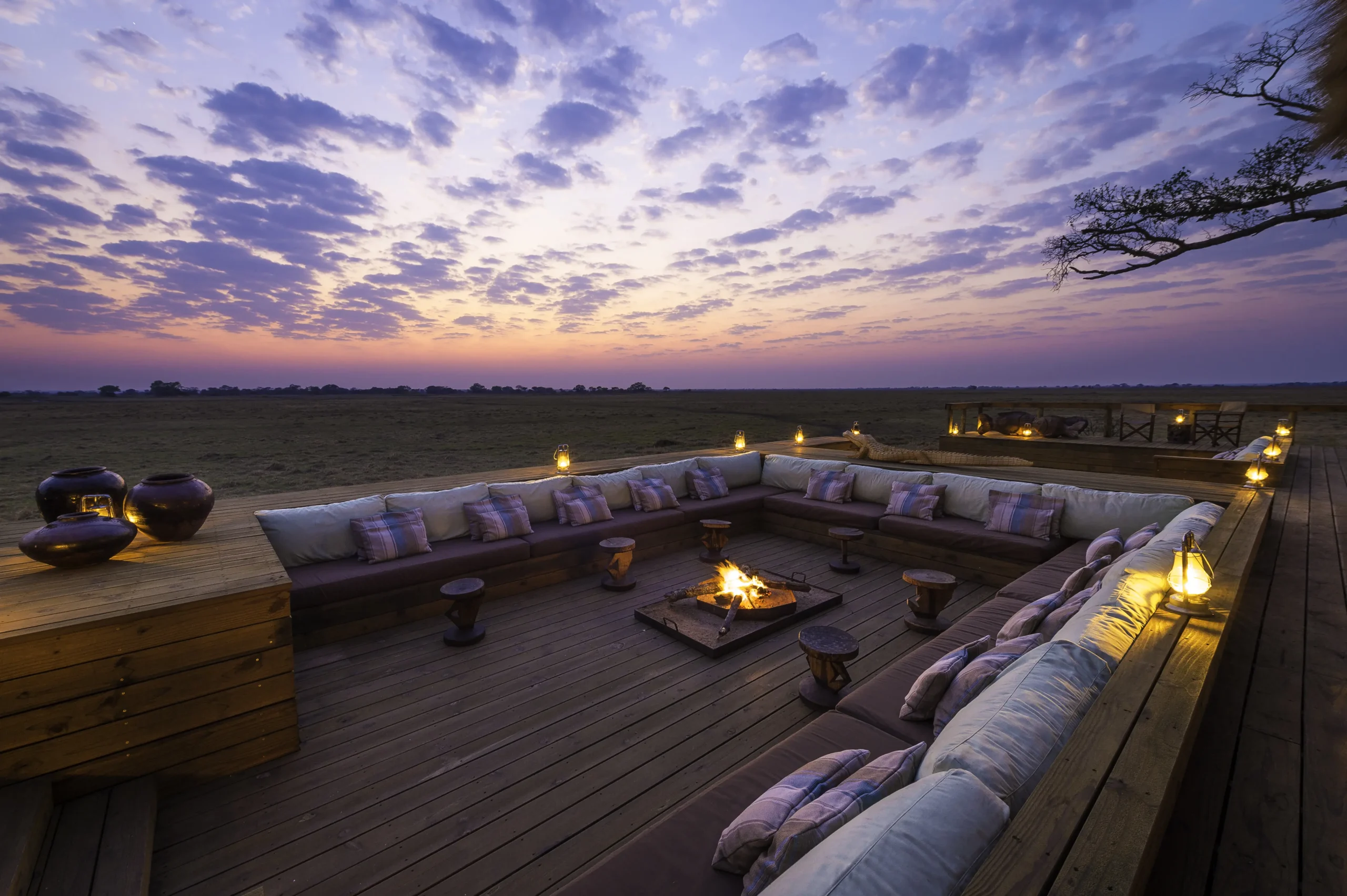 Wilderness Shumba