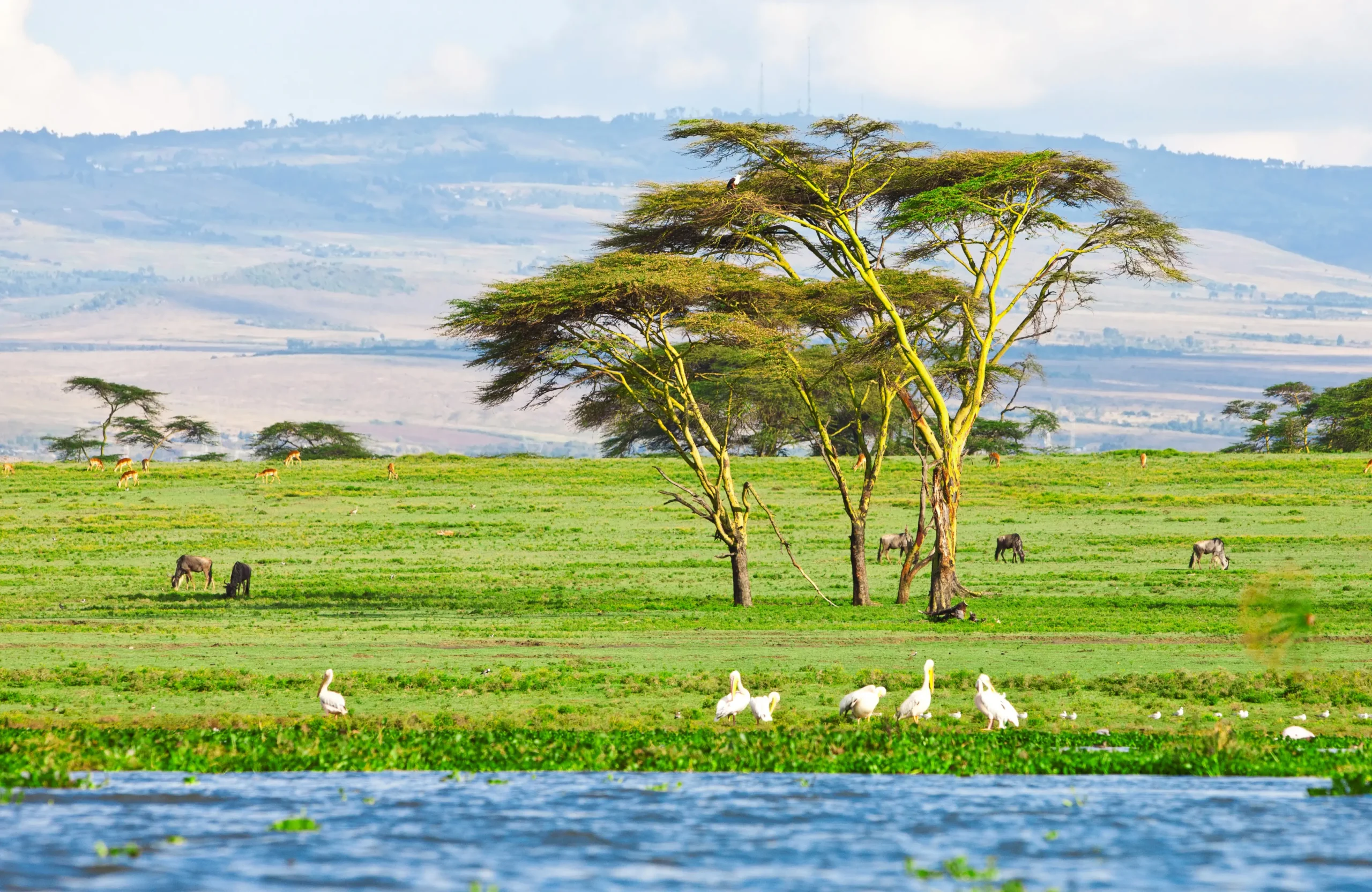 Lake Nakuru and Naivasha