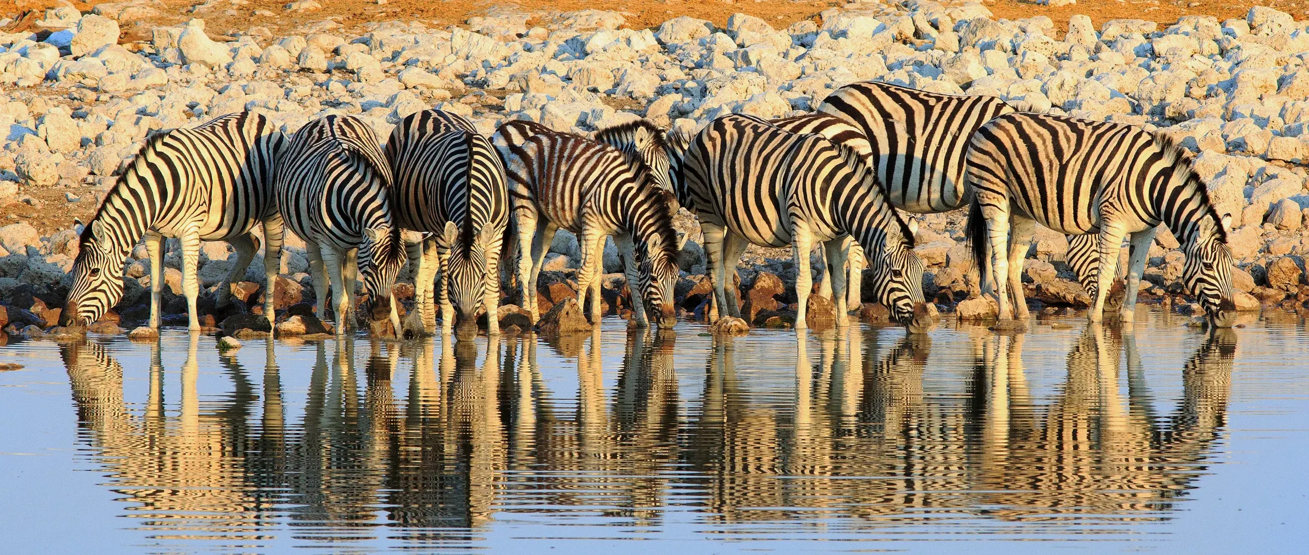 Etosha National Park