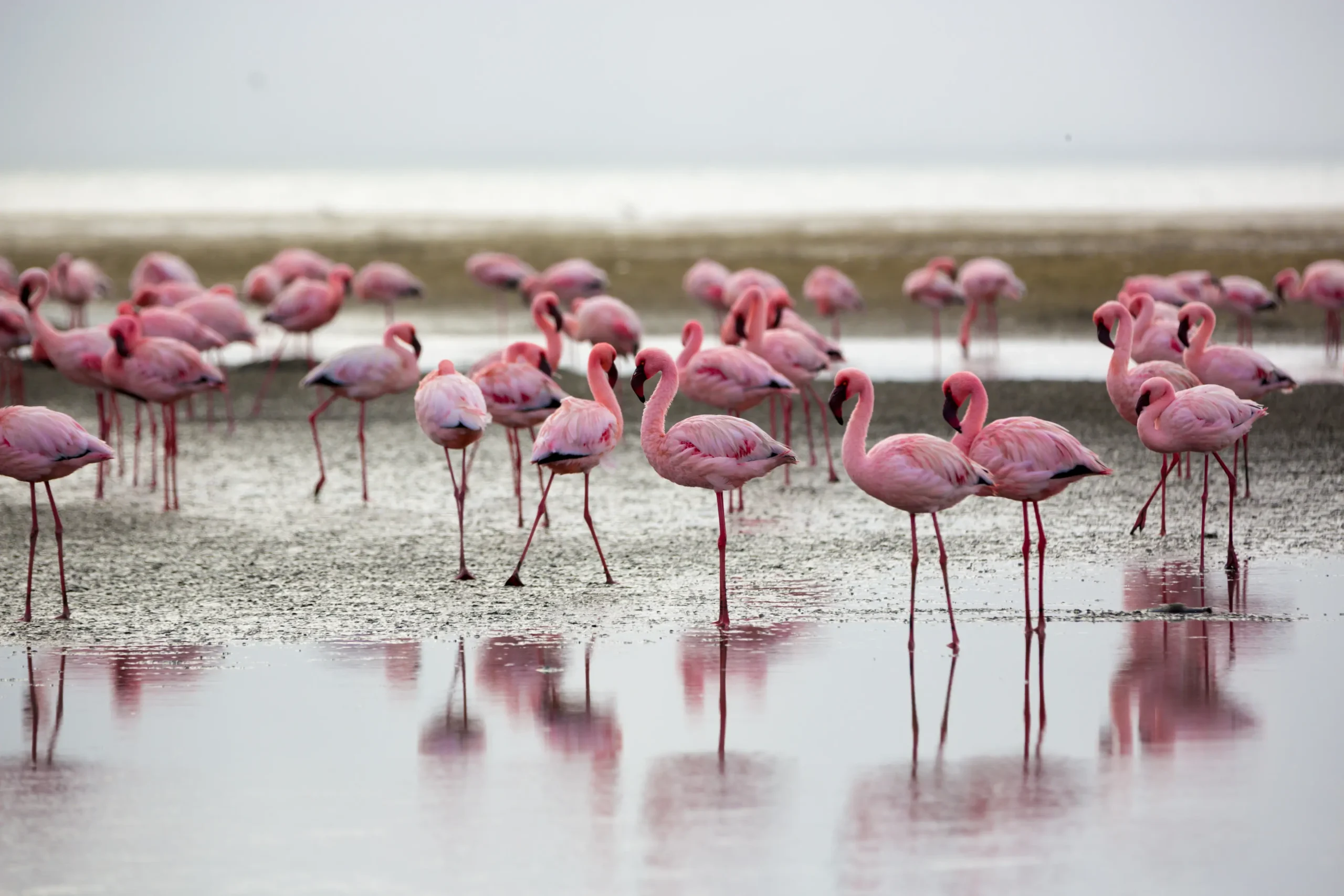 Swakopmund and Walvis Bay