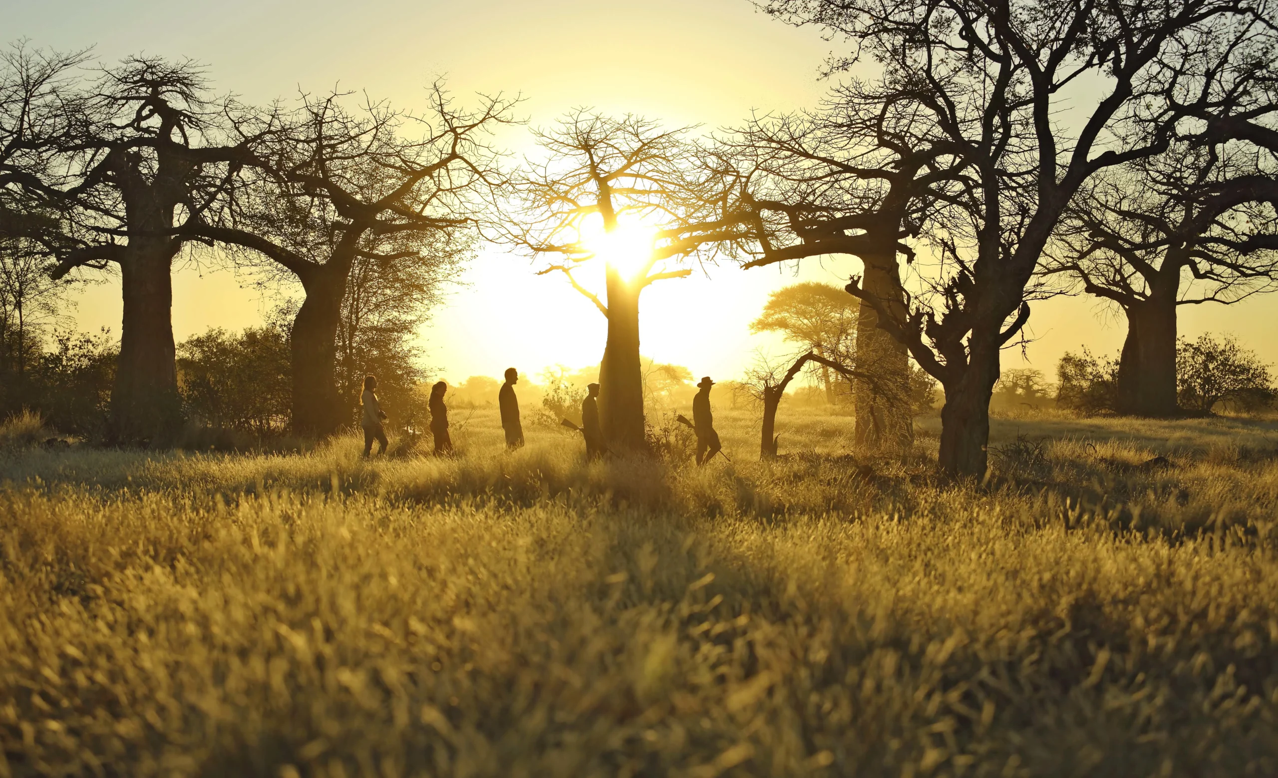 Ruaha National Park
