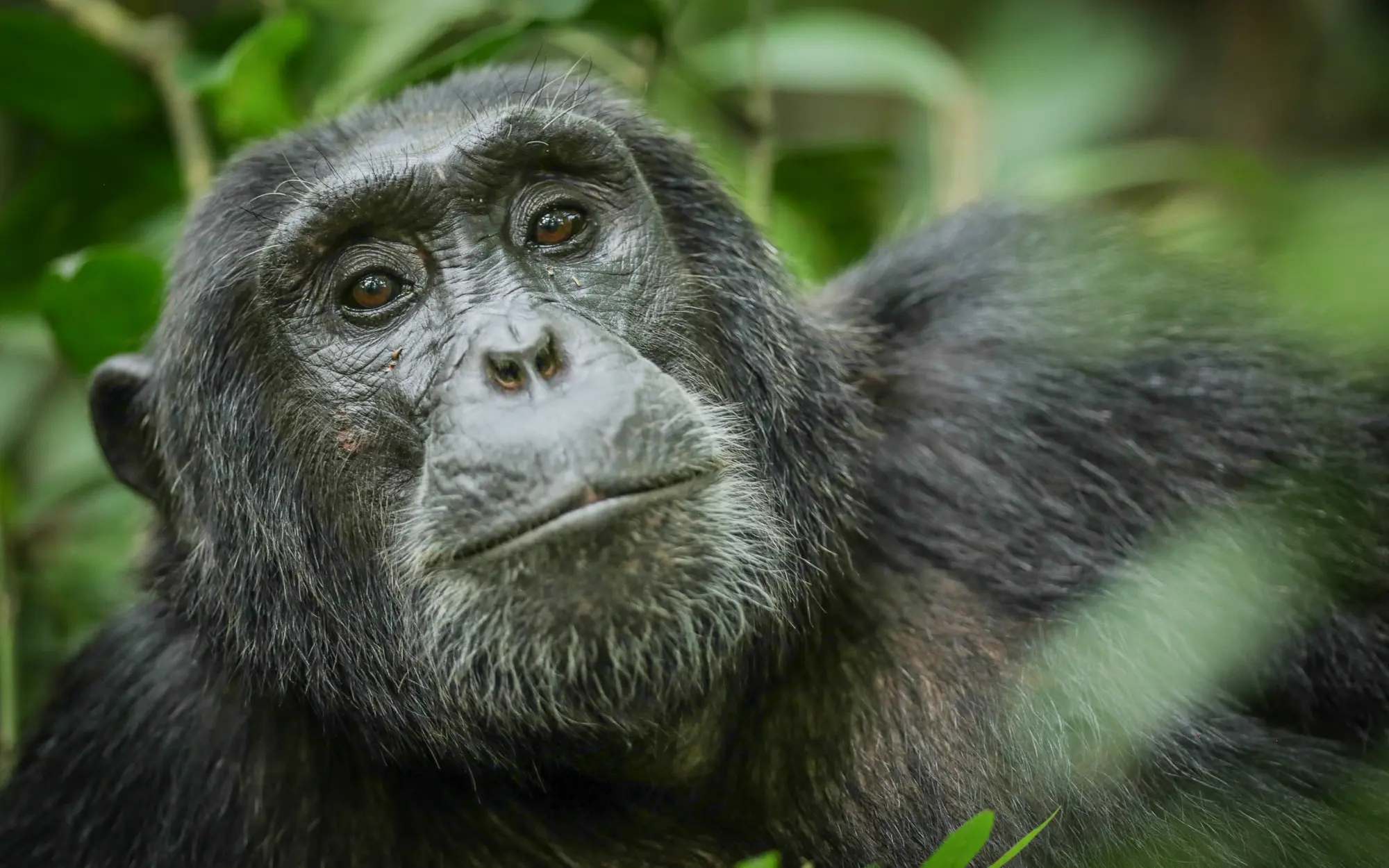 Queen Elizabeth National Park