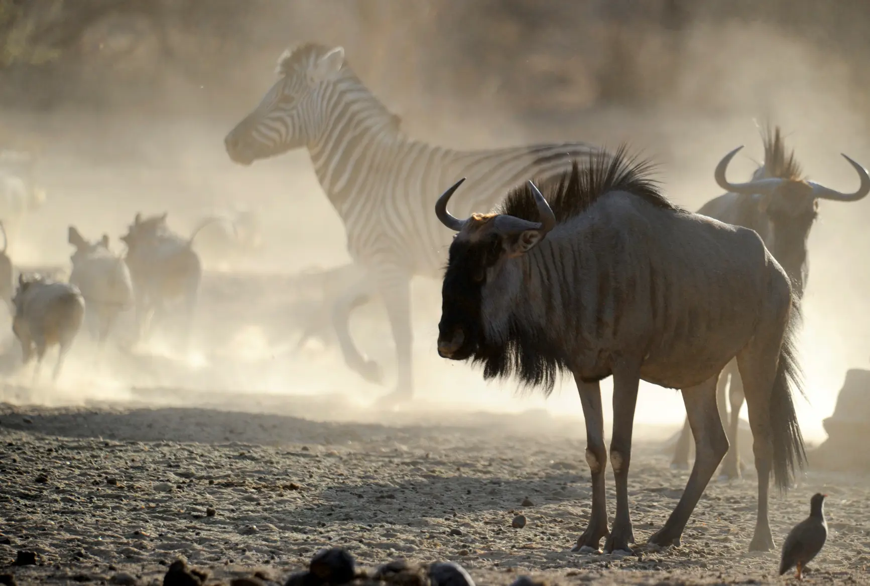 Central Namibia