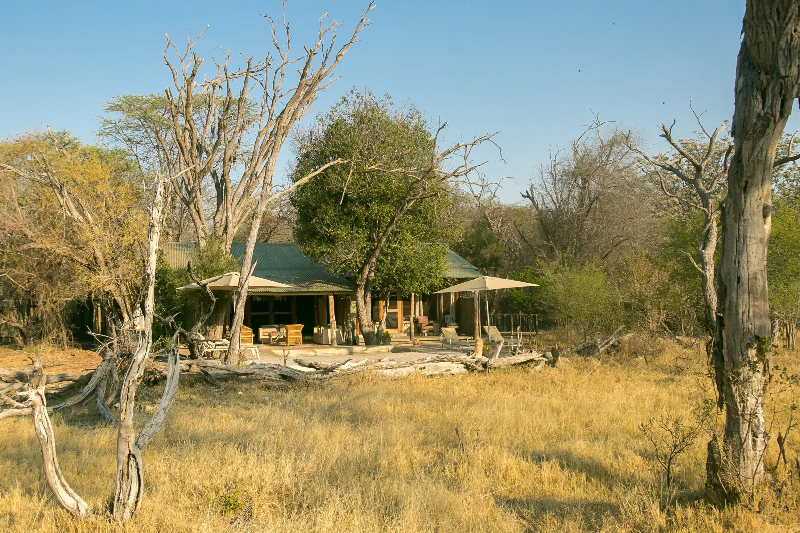 Tom's Little Hide | Luxury Camps in Zimbabwe | Yellow Zebra Safaris