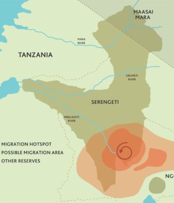 A map of the Serengeti highlights the wildebeest migration hotspots in red - Yellow Zebra Safaris