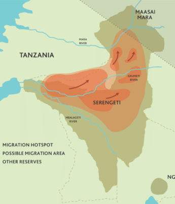 A map of the Serengeti highlights the June wildebeest migration hotspots in red - Yellow Zebra Safaris