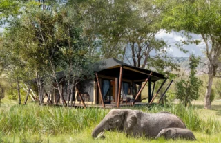 Exterior, Wilderness Mara, Maasai Mara National Reserve, Kenya Copy