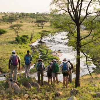 A guide talks to guests on a hill as they look down upon a river, Wayo Walking Camp, Serengeti, Tanzania - Yellow Zebra Safari