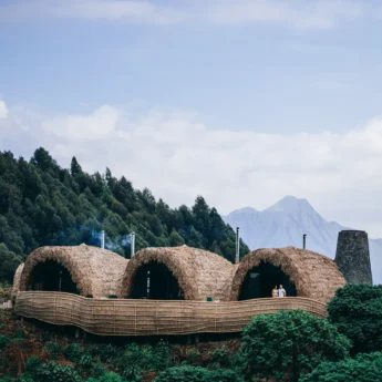 Exterior of the woven accommodation at Bisate Reserve, Volcanoes National Park, Rwanda - Yellow Zebra Safaris