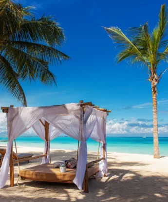 private beach zuri zanzibar tanzania yellow zebra safaris