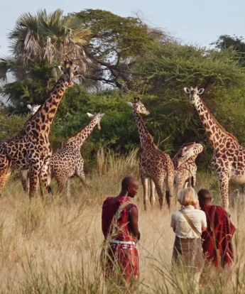 bush walk, chem chem safari lodge, tarangire national park, tanzania