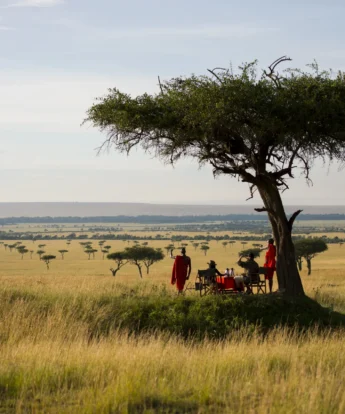 Kilima Camp Masai Mara other bush breakfast kilima 67