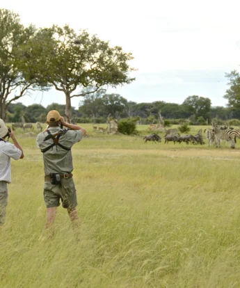 23. Imvelo Safari Lodges Camelthorn Lodge The plains are great walking country