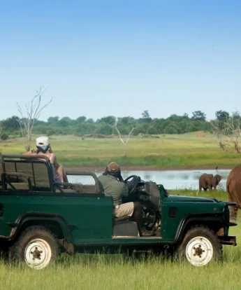 RhinoSafariCamp=GD002