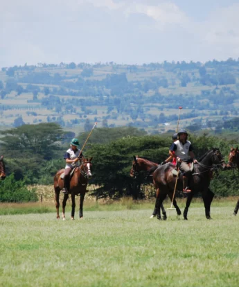Offbeat Safaris polo