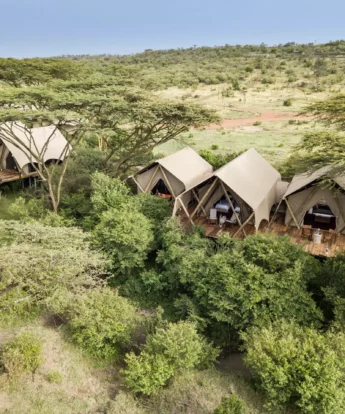 mara nyika kenya aerial yellow zebra safaris