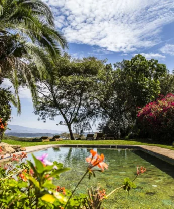 kiangazi house double pool kenya yellow zebra safaris