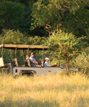 game drives, makuleke contractual park, south africa