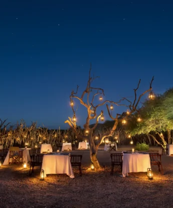star lit dinner, marataba safari lodge, marakele national park, south africa