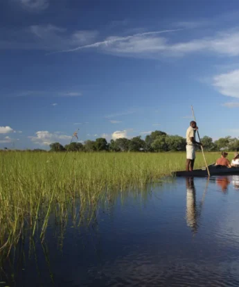 mokoro safaris, botswana experiences, africa vacations