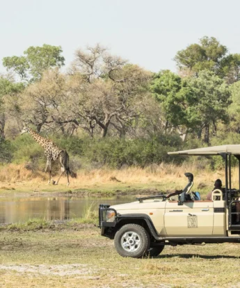 Game Drive, Moremi Camp, Moremi Game Reserve, Botswana