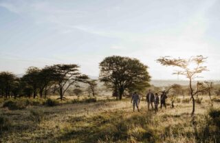 Guided walking safari across open grassland, East Africa, Yellow Zebra Safaris