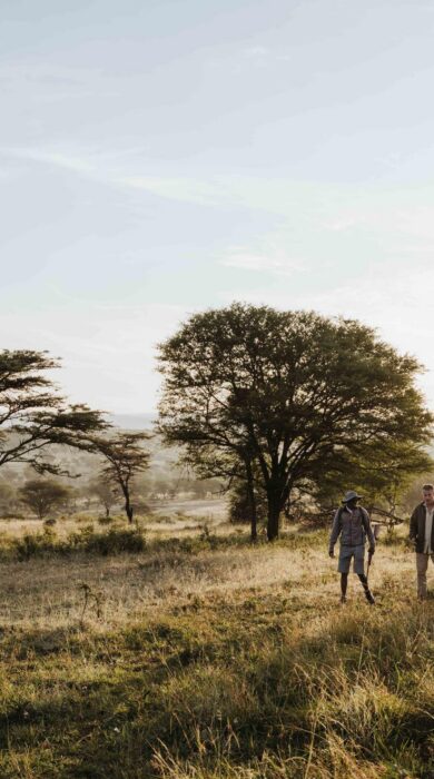 Guided walking safari across open grassland, East Africa, Yellow Zebra Safaris