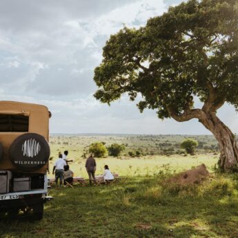 Game drive stop in open grassland, Serengeti, Tanzania, Yellow Zebra Safaris