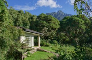 Lodge exterior in forest setting, Volcanoes National Park, Rwanda, Yellow Zebra Safaris