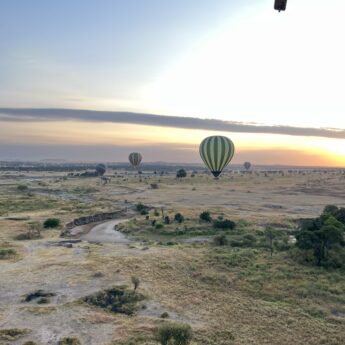 Hot air balloons over the plains at sunrise, Serengeti, Tanzania, Yellow Zebra Safaris
