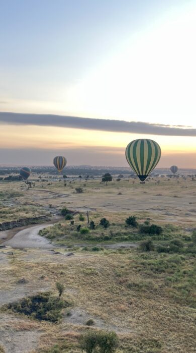 Hot air balloons over the plains at sunrise, Serengeti, Tanzania, Yellow Zebra Safaris