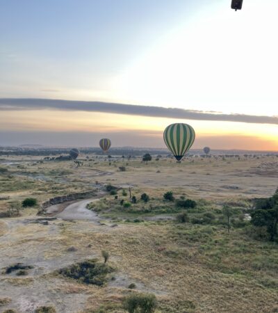 Hot air balloons over the plains at sunrise, Serengeti, Tanzania, Yellow Zebra Safaris