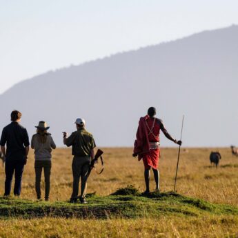 Walking safari with Maasai guide on open plains, Mara, Kenya, Yellow Zebra Safaris