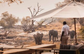 Elephants viewed from the main area at Wilderness Toka Leya, Mosi-oa-Tunya National Park, Zambia, Yellow Zebra Safaris