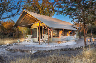 tent, mushara bush camp, namibia, yellow zebra safaris