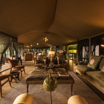 lounge, wilderness mara, kenya - yellow zebra safaris