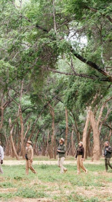 Walking safari, Chongwe House, Lower Zambezi national Park, Zambia, Yellow Zebra Safaris.