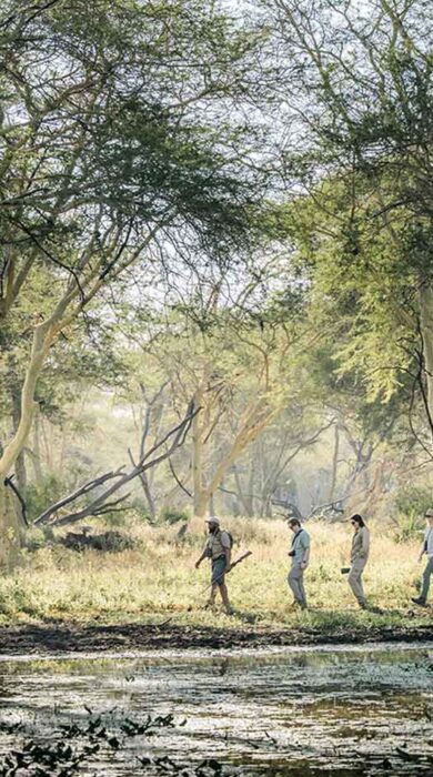 Header, Walking Safari, Chicari, Gorongosa, Mozambique, Yellow Zebra Safaris
